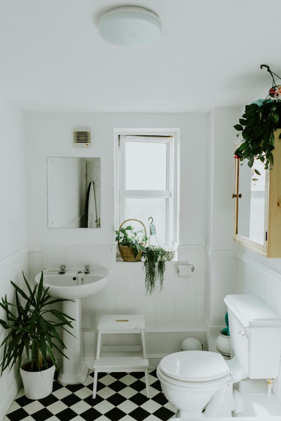 Salle de bain blanche avec plantes